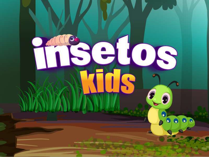 Insetos Kids