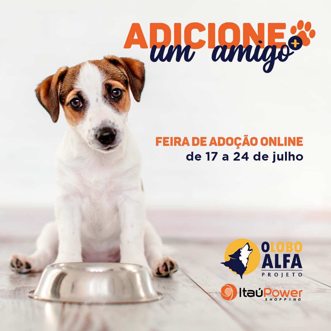 Feira de Adoção